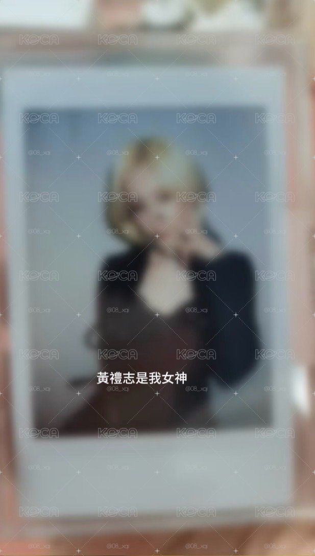 黃禮志未公開
