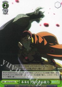 WS 遊戲卡 U