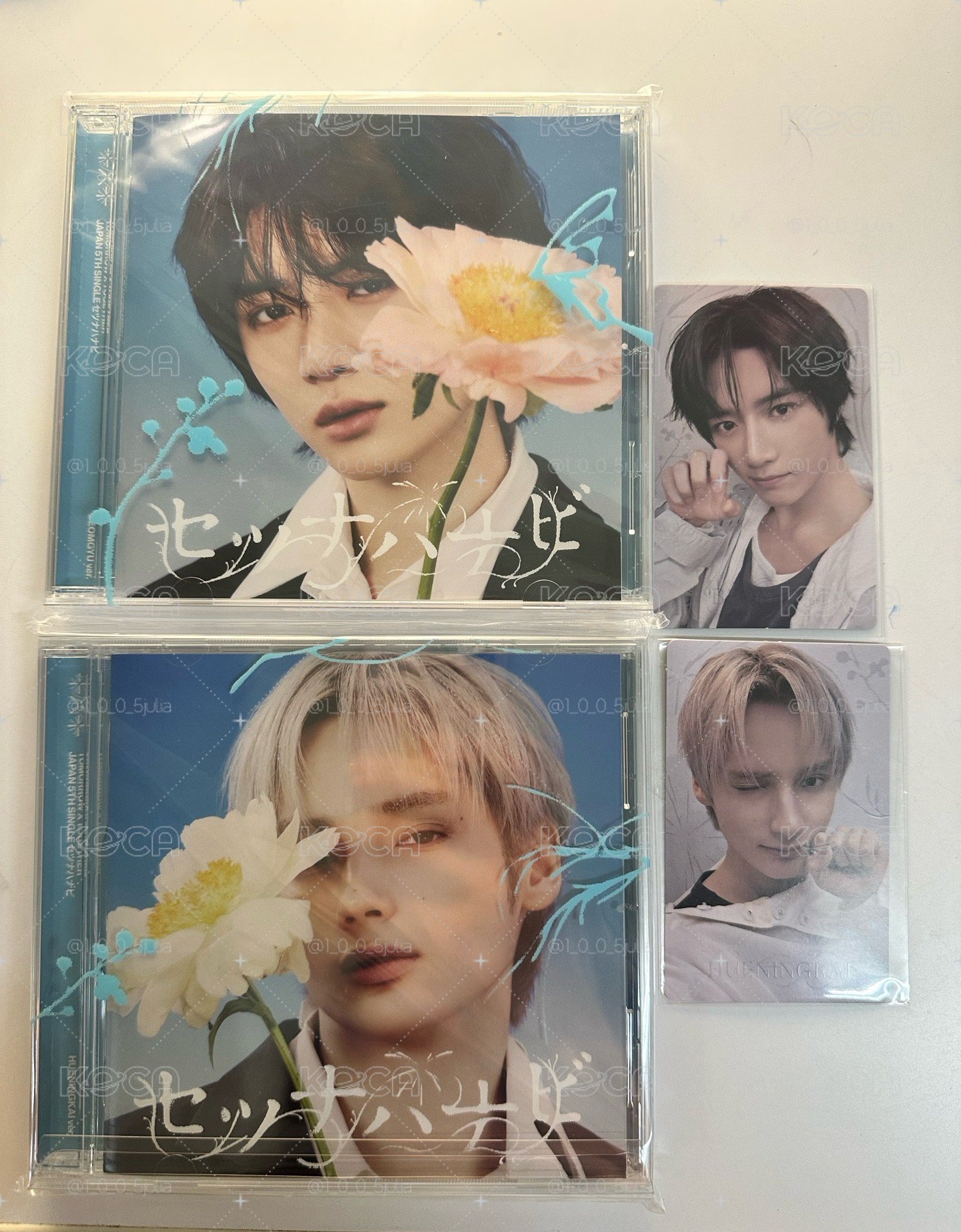 日專單封 圭➕寧 ➕日咖夜光特典