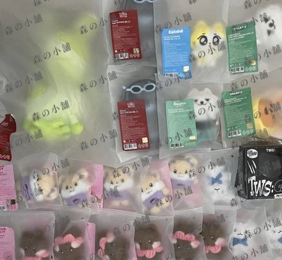 【BOYNEXTDOOR 全新現貨】BBNEXDO 二代 娃包 吊飾 透明娃包吊飾 