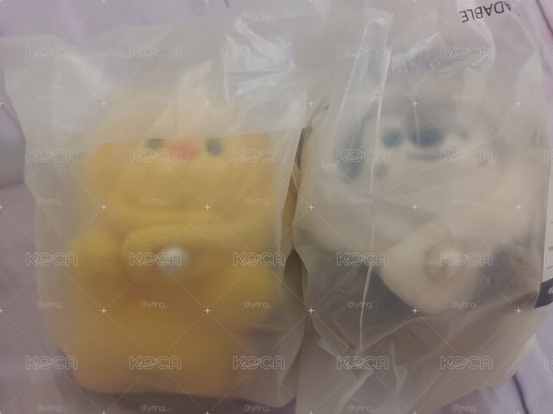 燦菲趴娃