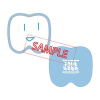 夜鷹 盤子 會員限定週邊 