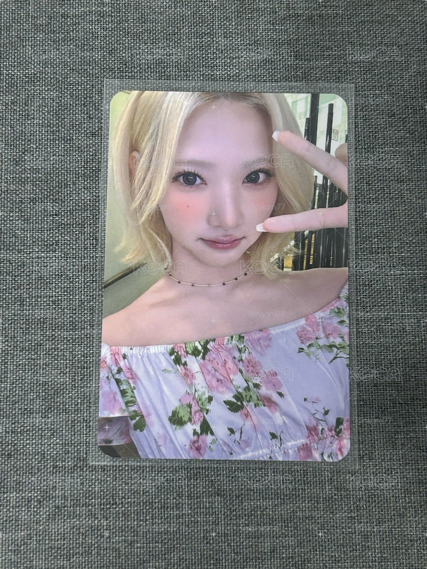 ms jiwoo