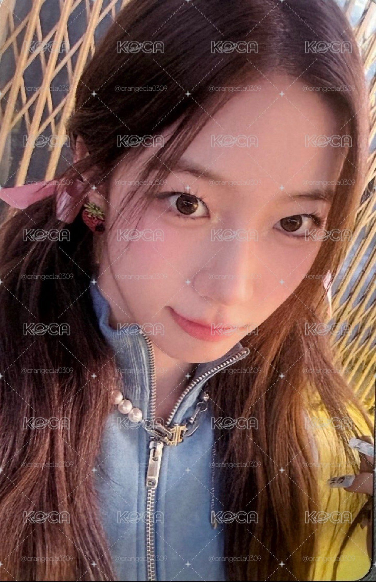 埼玉場限葉
