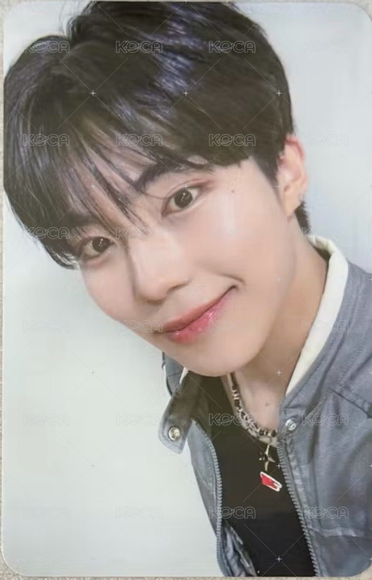 Fancon 旭