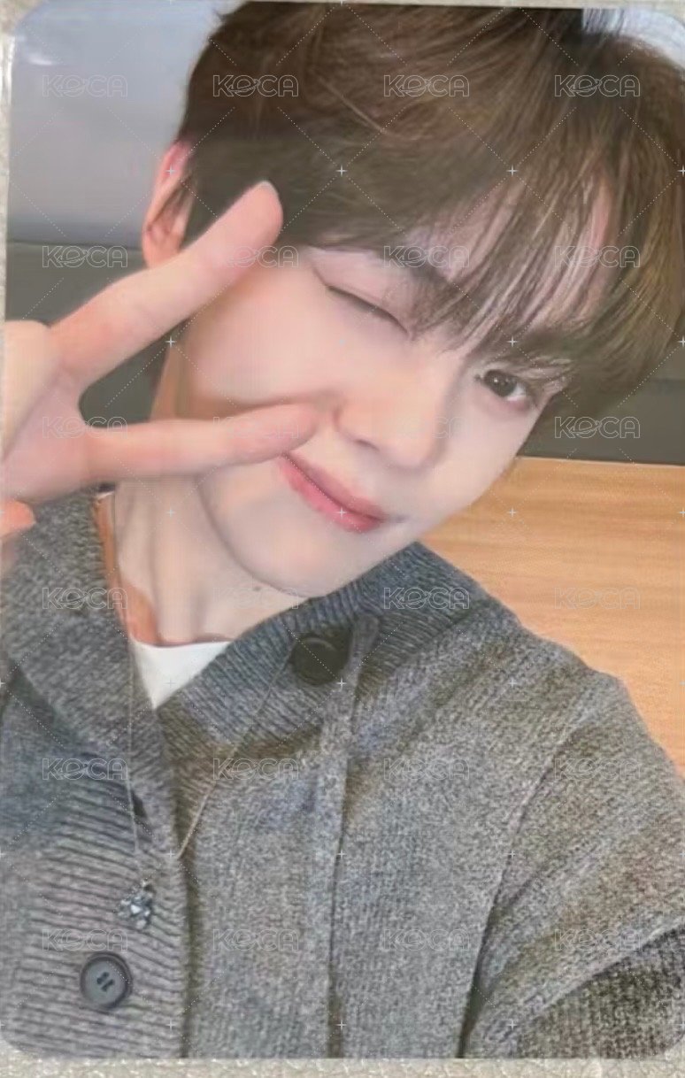 Fancon 奎