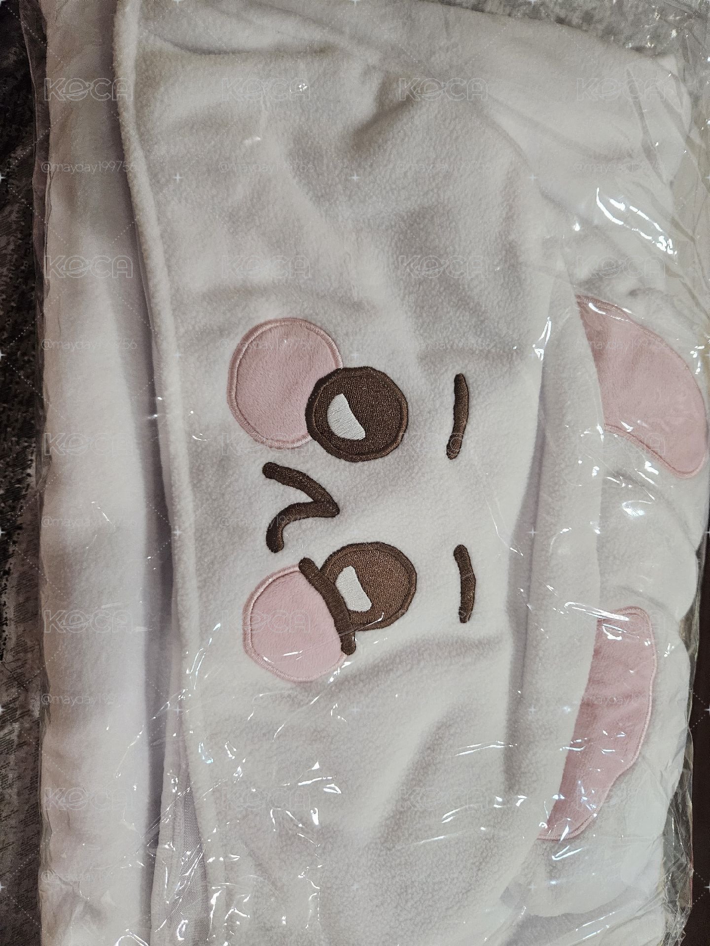  考特妮 金俊勉 現貨 毛毯