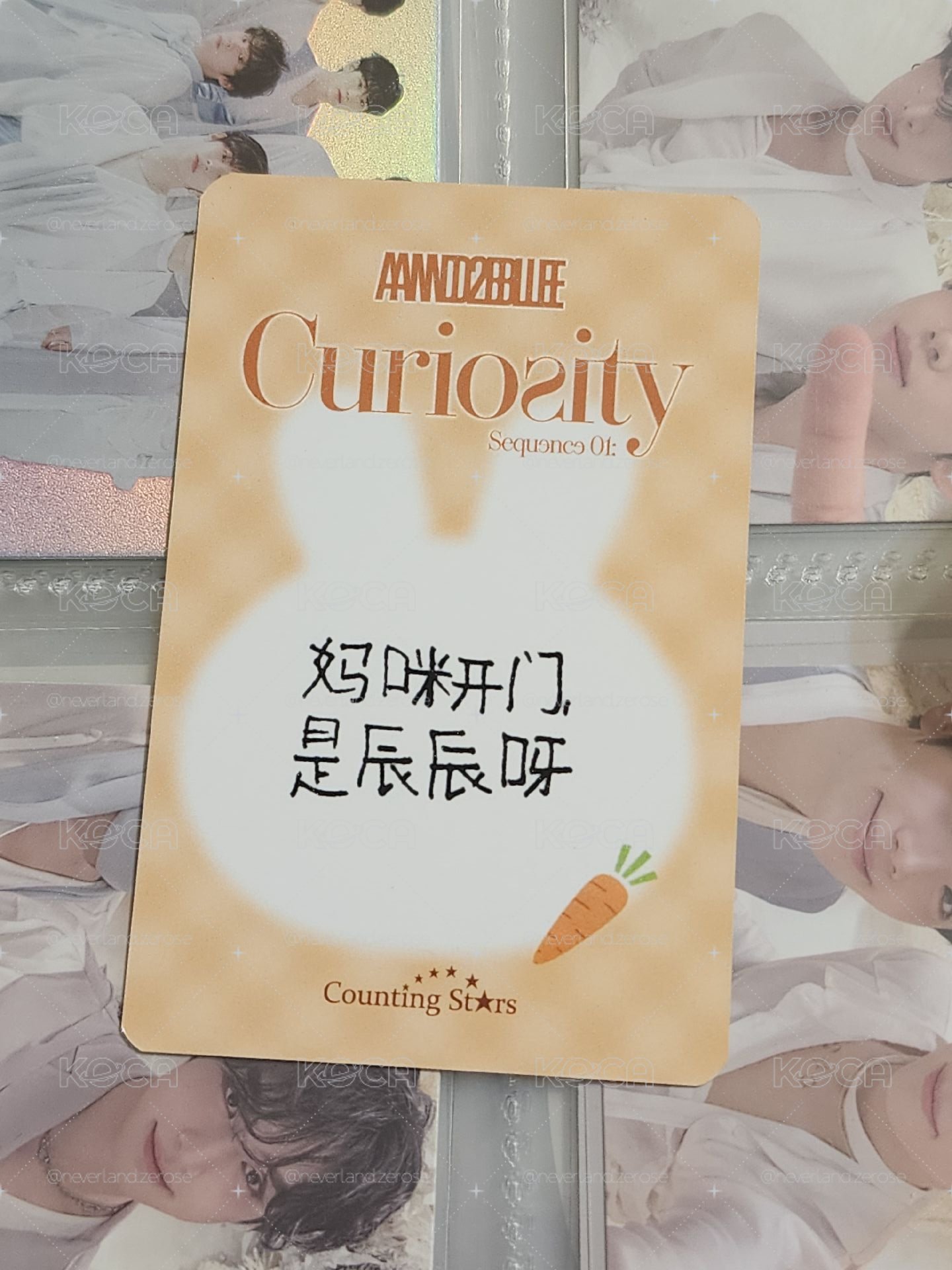 胡蘿蔔兔兔辰 中背