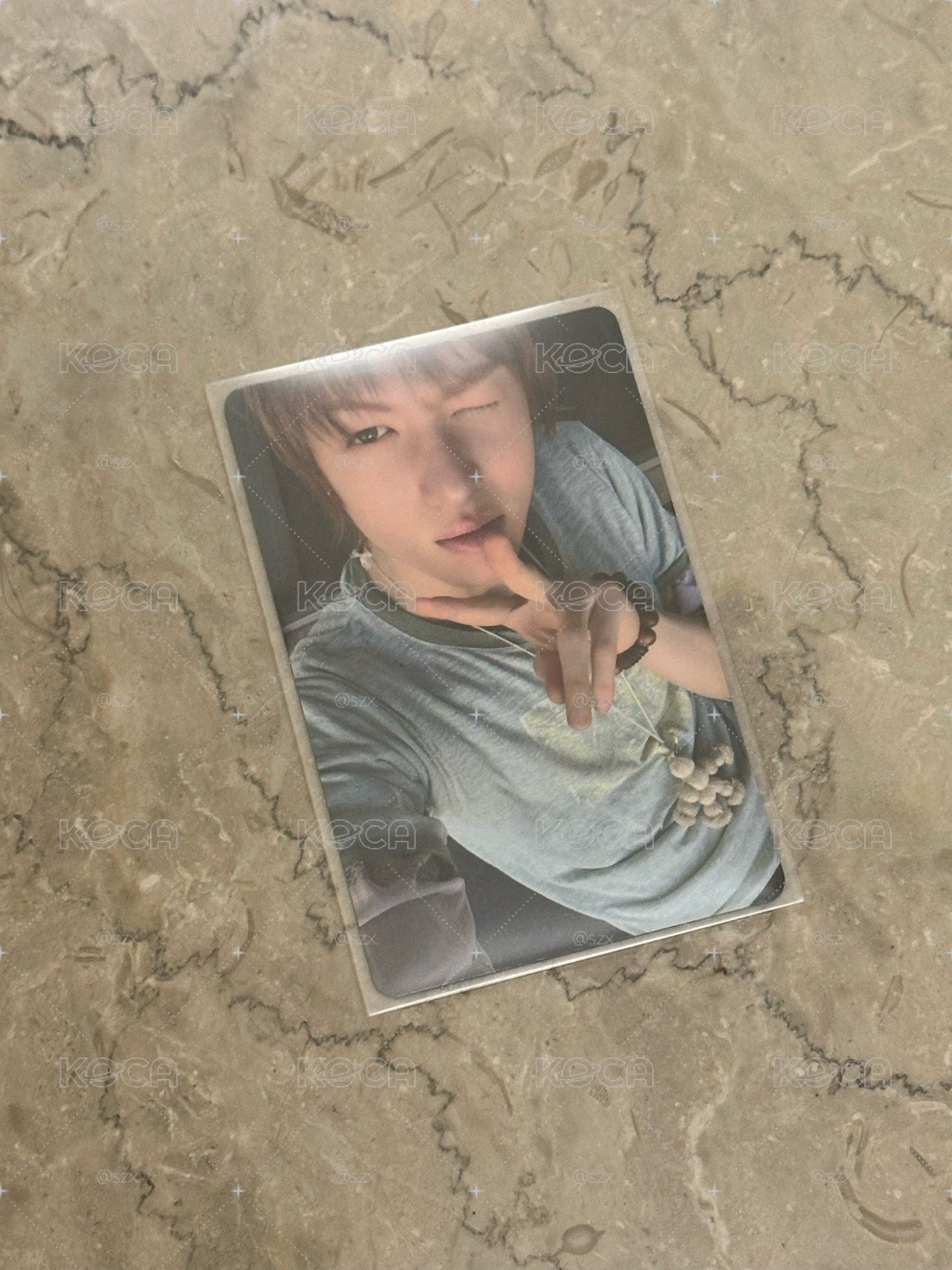 環球預售 馬