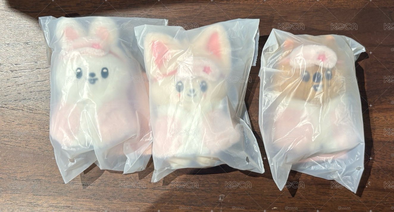 現貨 SKZOO 六期飯咪 10公分娃
