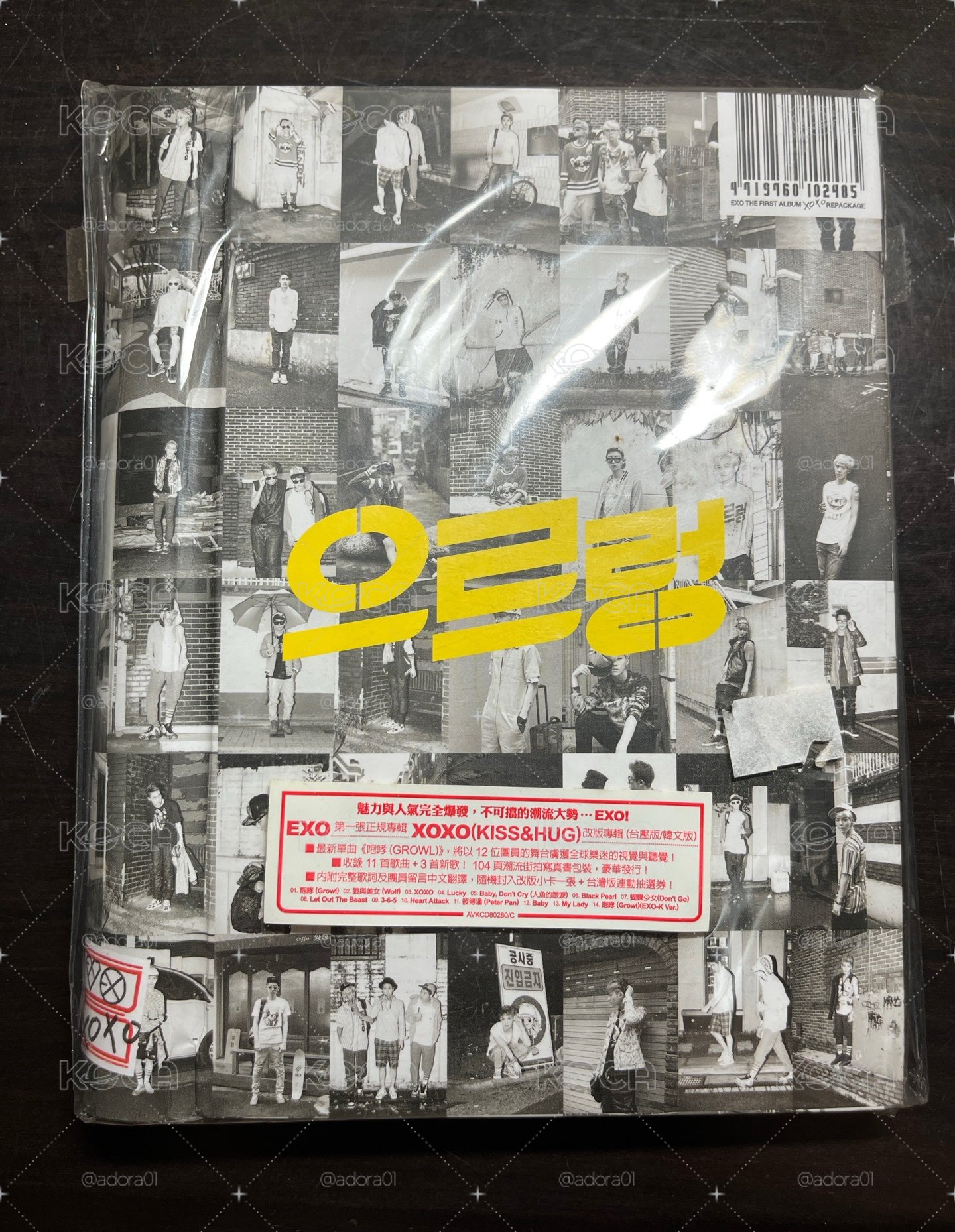exo growl 空專