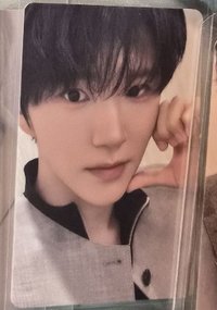 樹樹滿額
