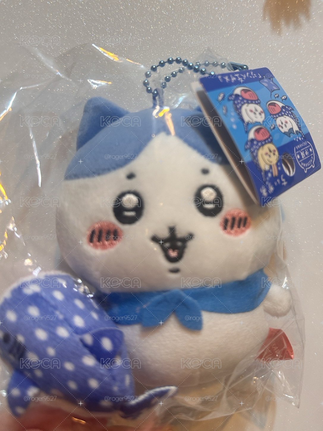 鯨鯊 小八 沖繩系列chiikawa