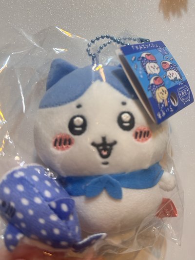 鯨鯊 小八 沖繩系列chiikawa