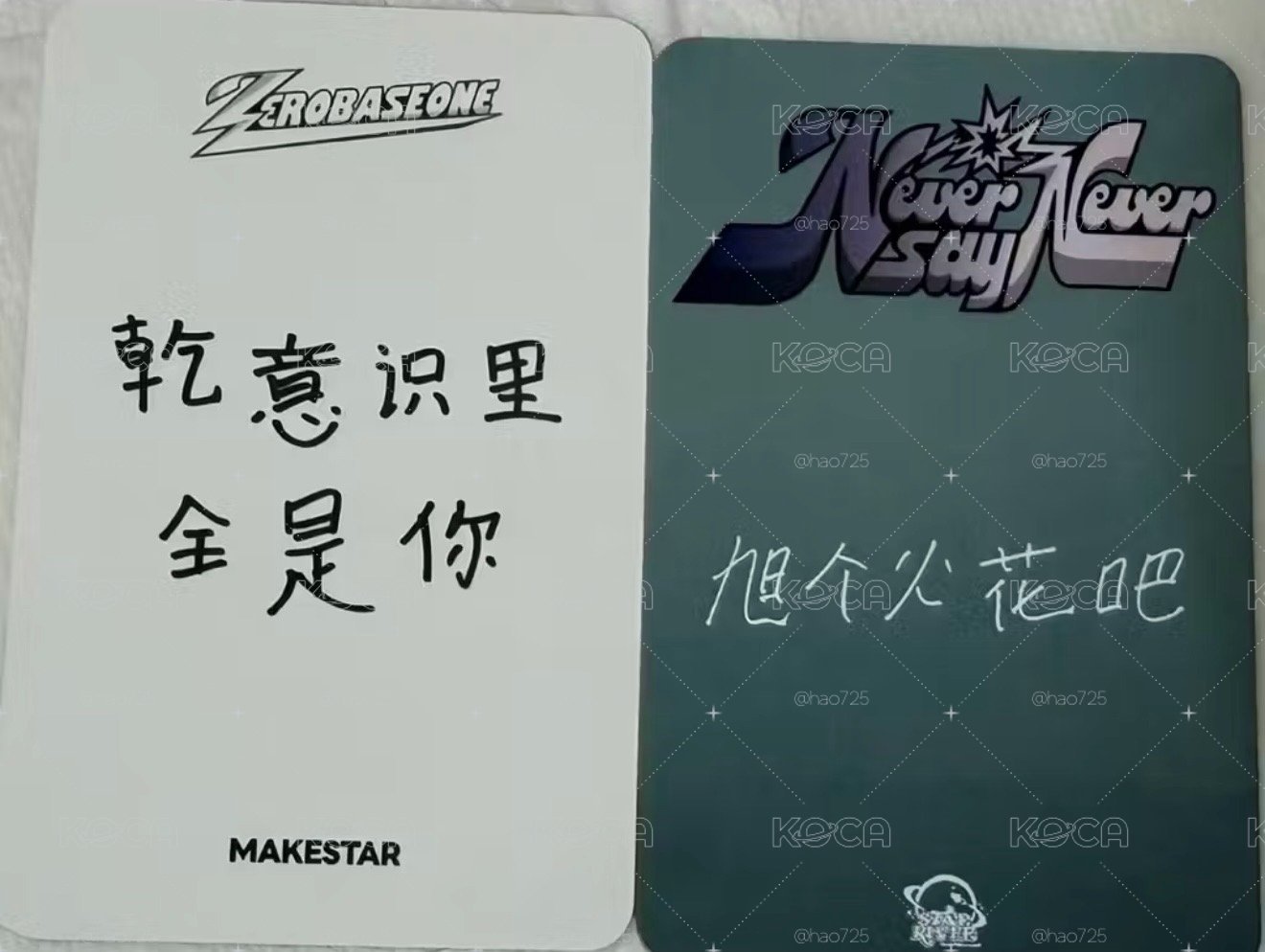 ZB1 旭  中簽卡MS&SR(中背）