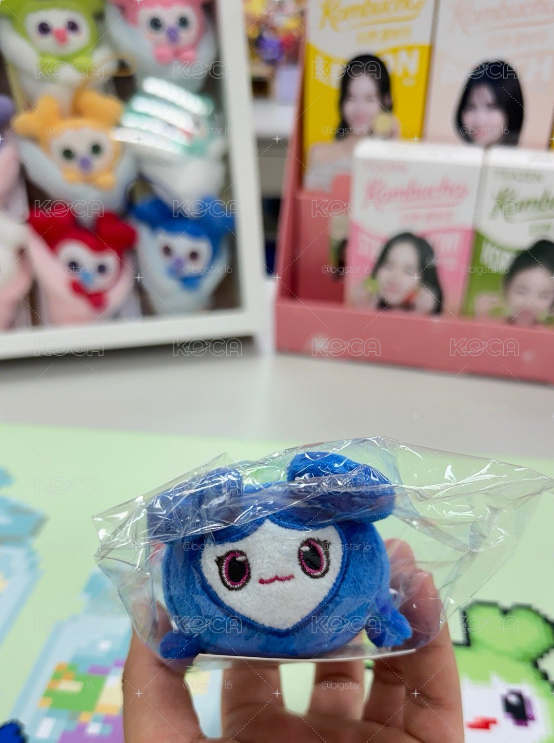 現貨速出！瑜💙四巡趴趴娃