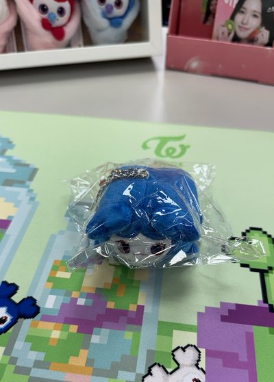 現貨速出！瑜💙四巡趴趴娃