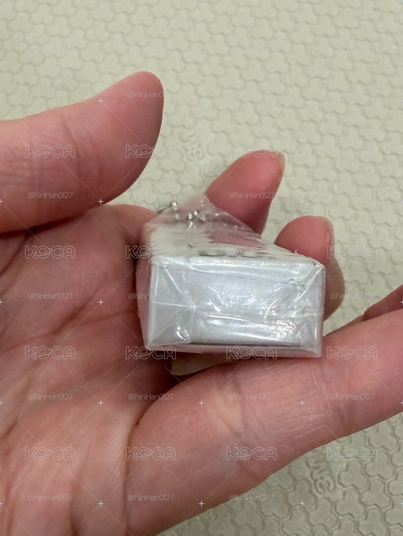 有損 .ᐟ都敬秀🐧嘟 2025FM吊飾