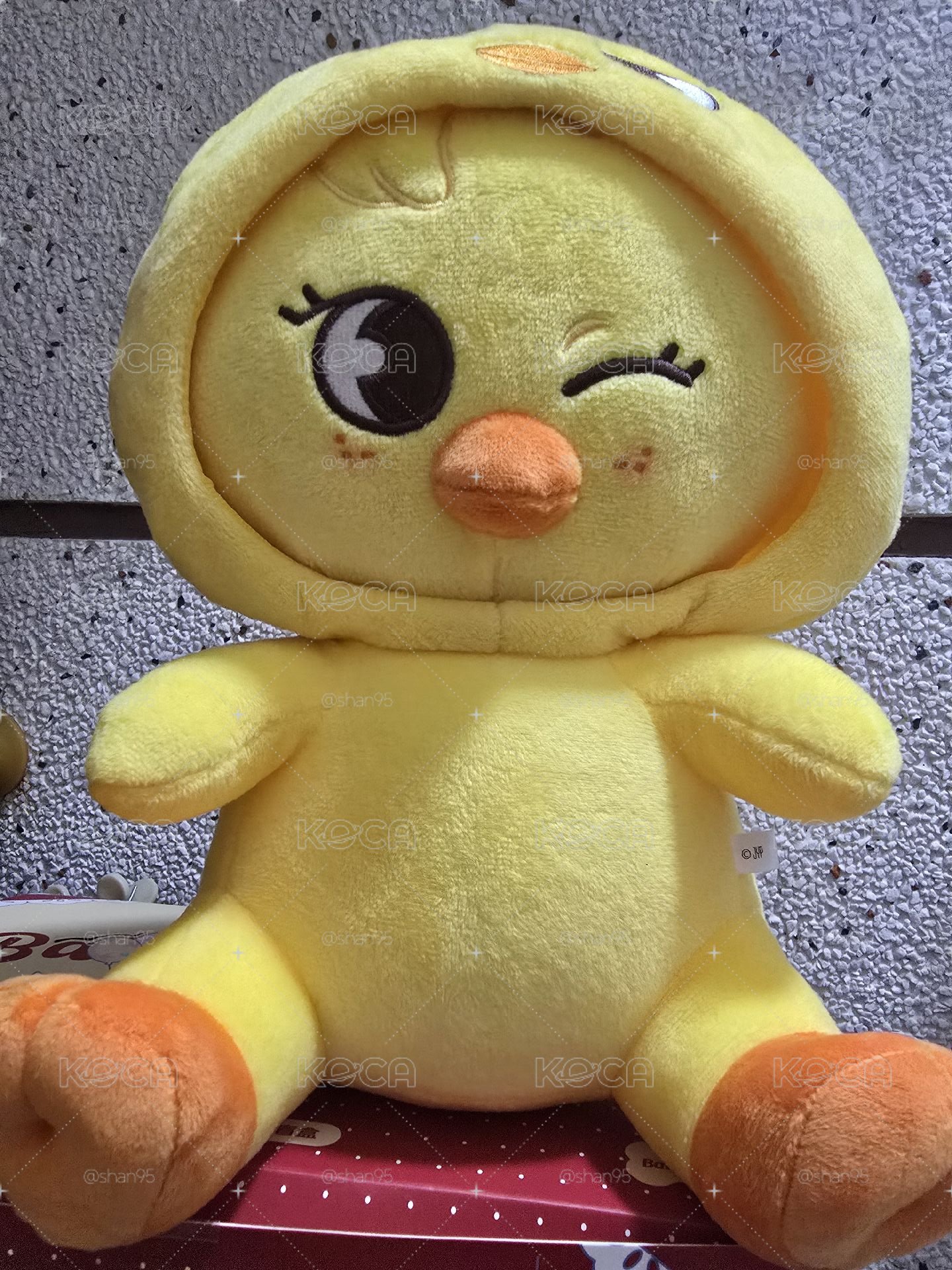 菲 日週換頭娃