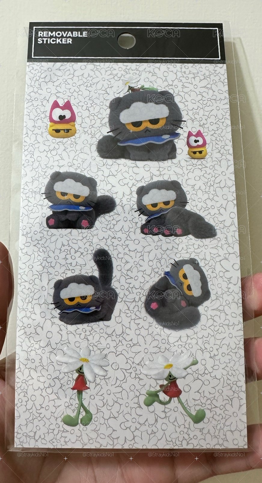 ZOA貼紙 現貨