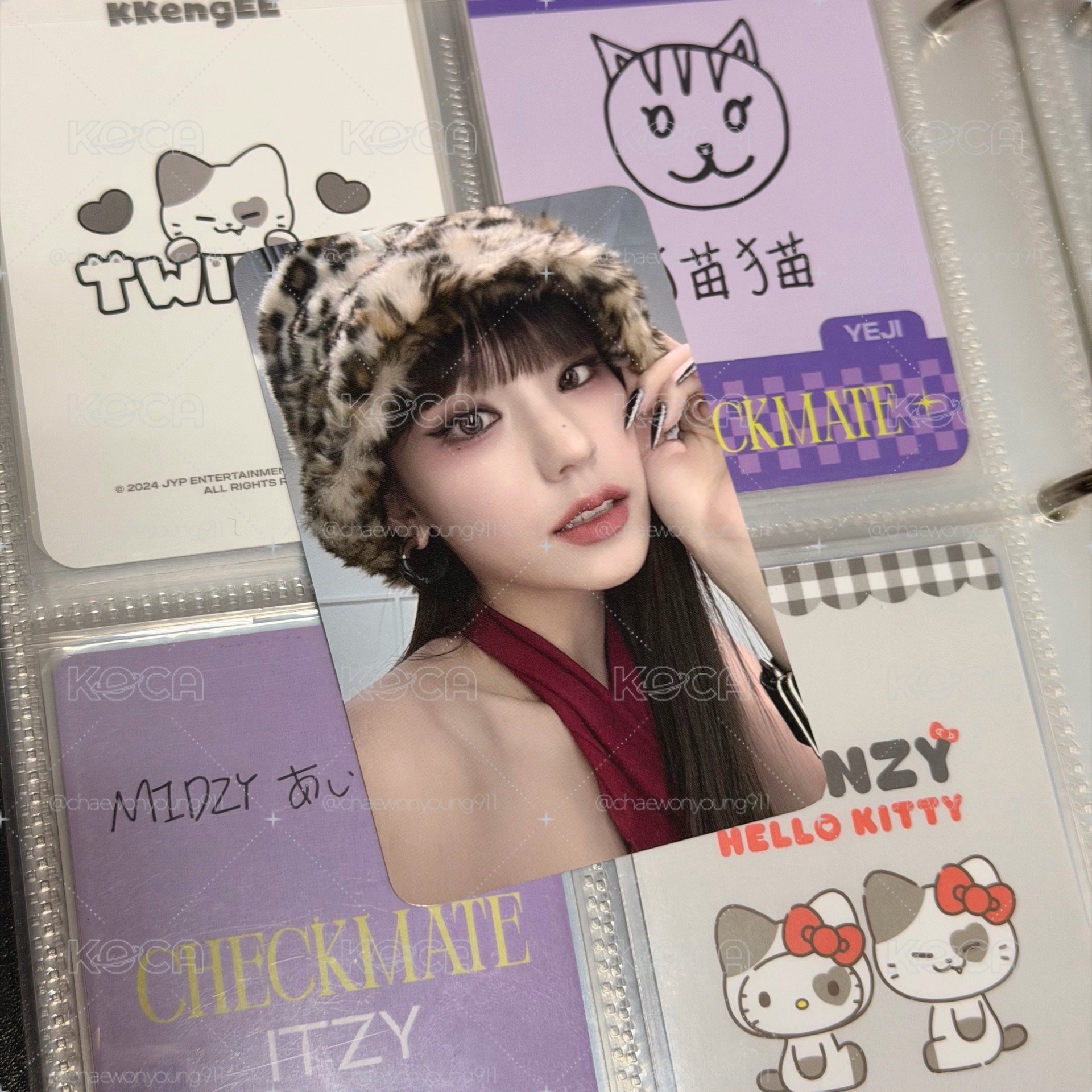 豹貓志🐆❤️‍🔥