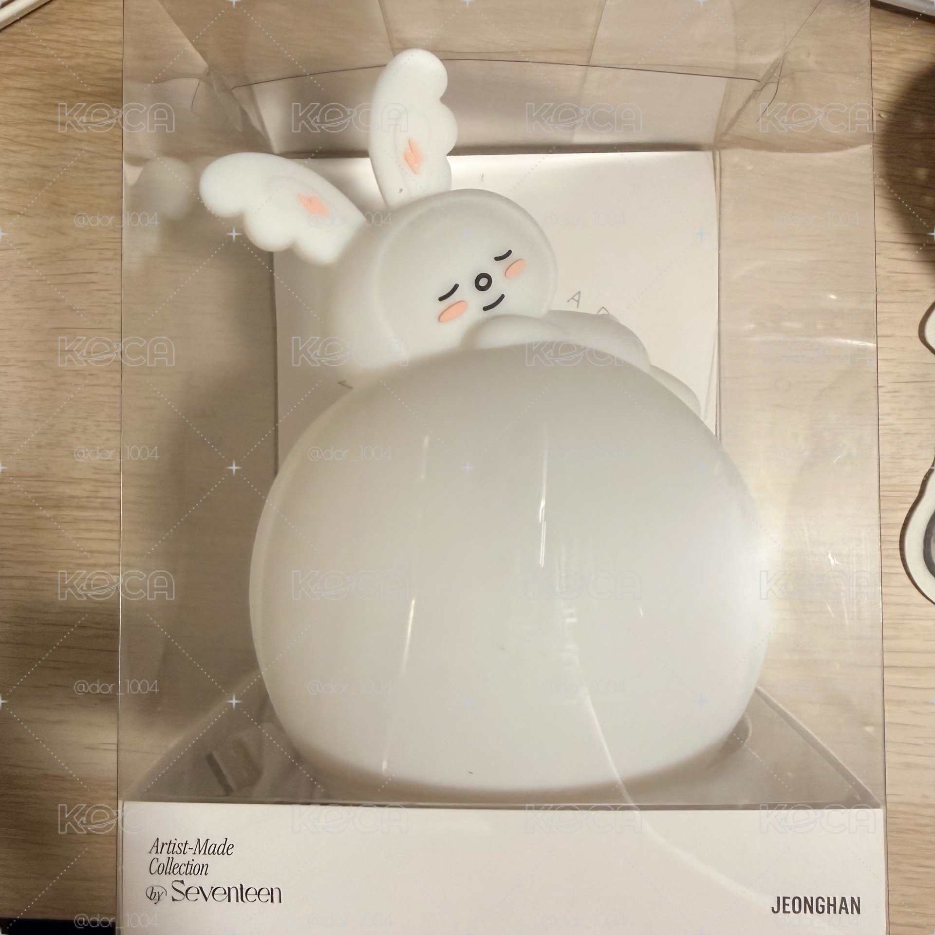 Seventeen 淨漢 JJONG TO RAM 夜燈