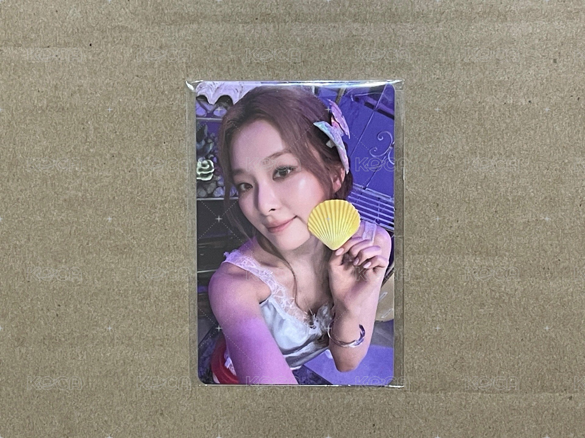 熊