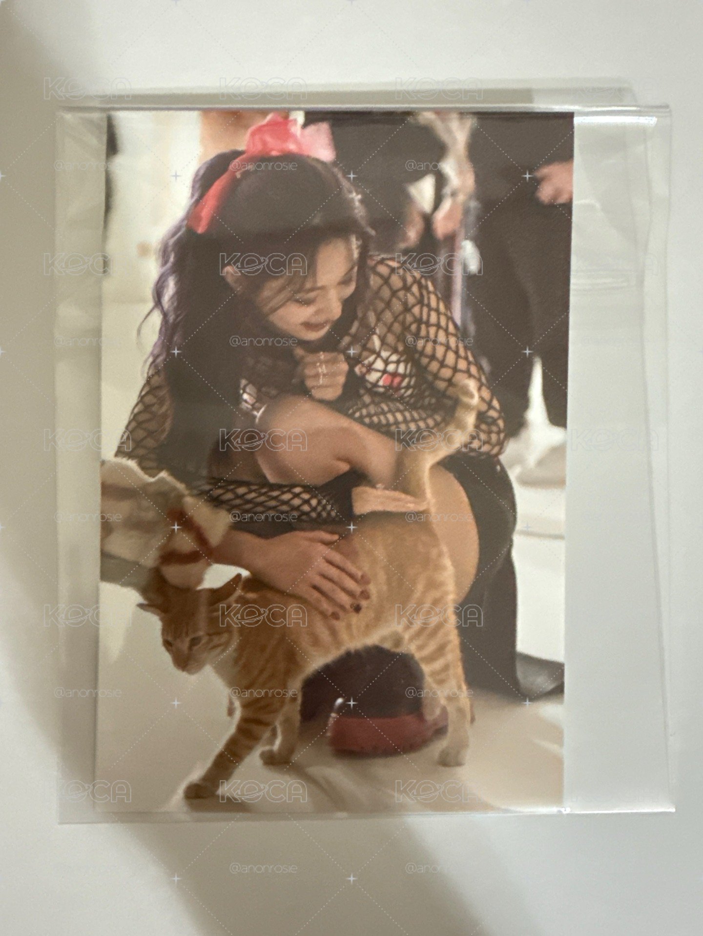 TWICE 正規三 明信片 result file ver. 子瑜