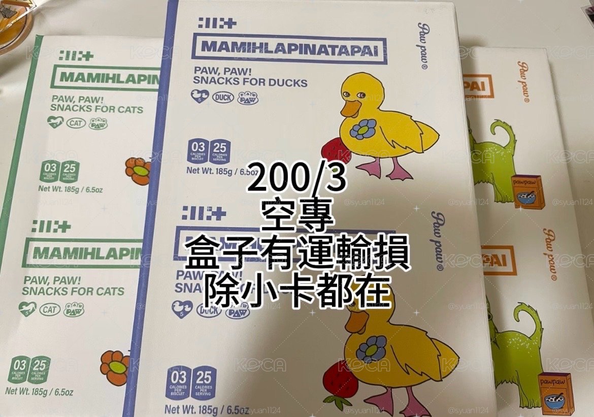 ILLIT 全員大盤