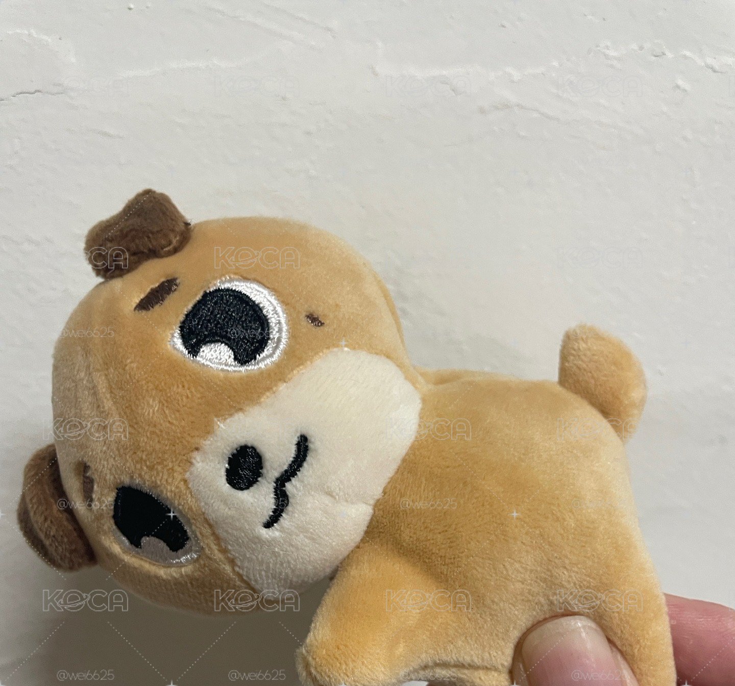 🐶暖手娃