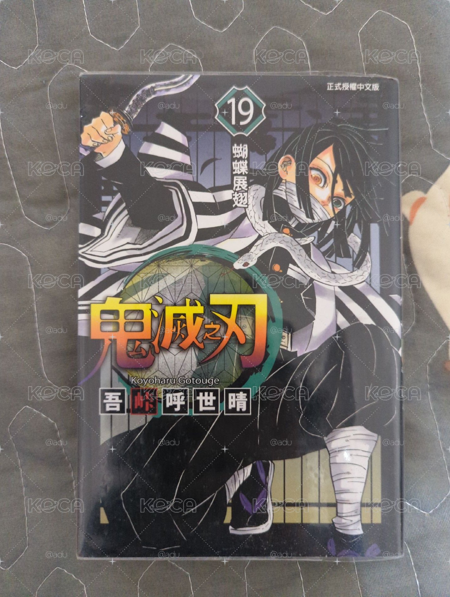 鬼滅解析錄/漫畫