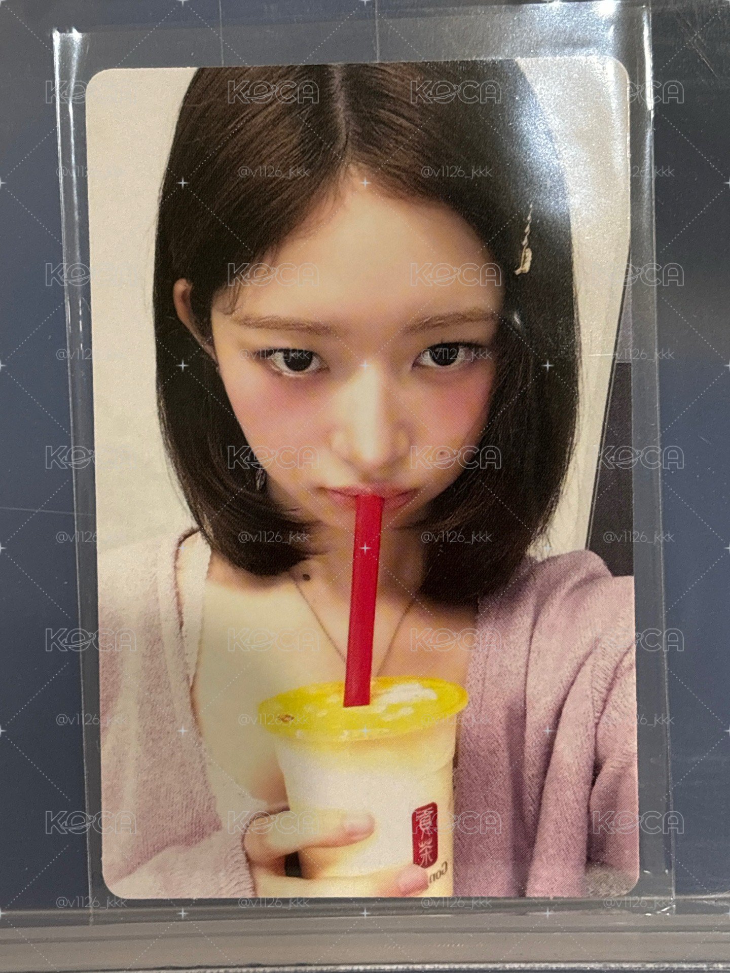 貢茶怜