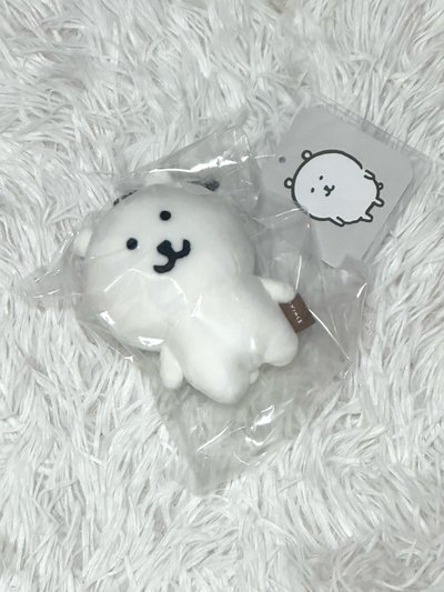 基礎熊（現貨）