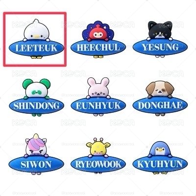 Super juniorSS10 日周手燈裝飾 牌 利特