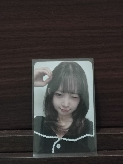 蝴蝶結怜