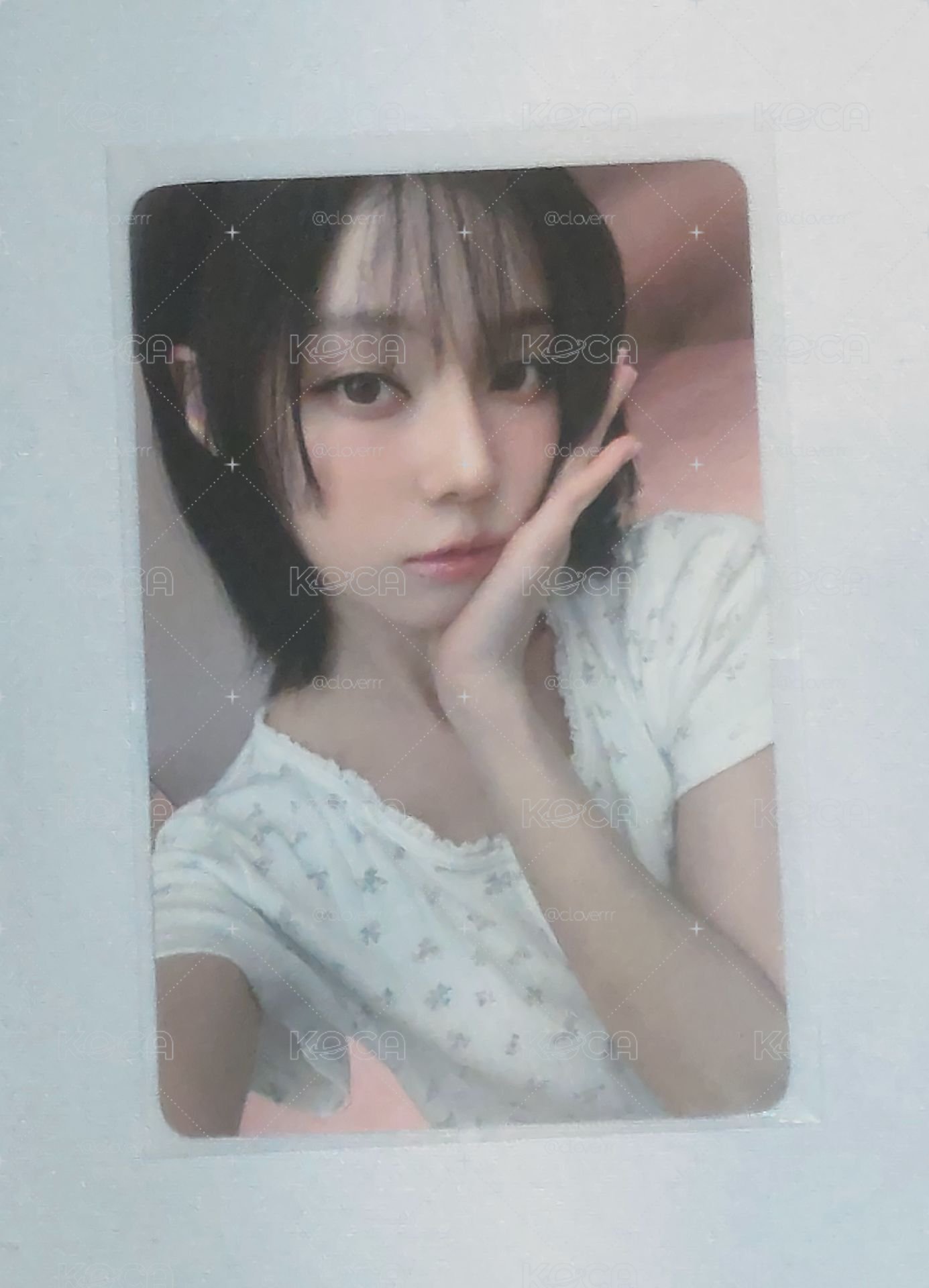 泡泡摩奇冬