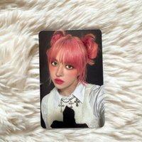 Lily包子頭