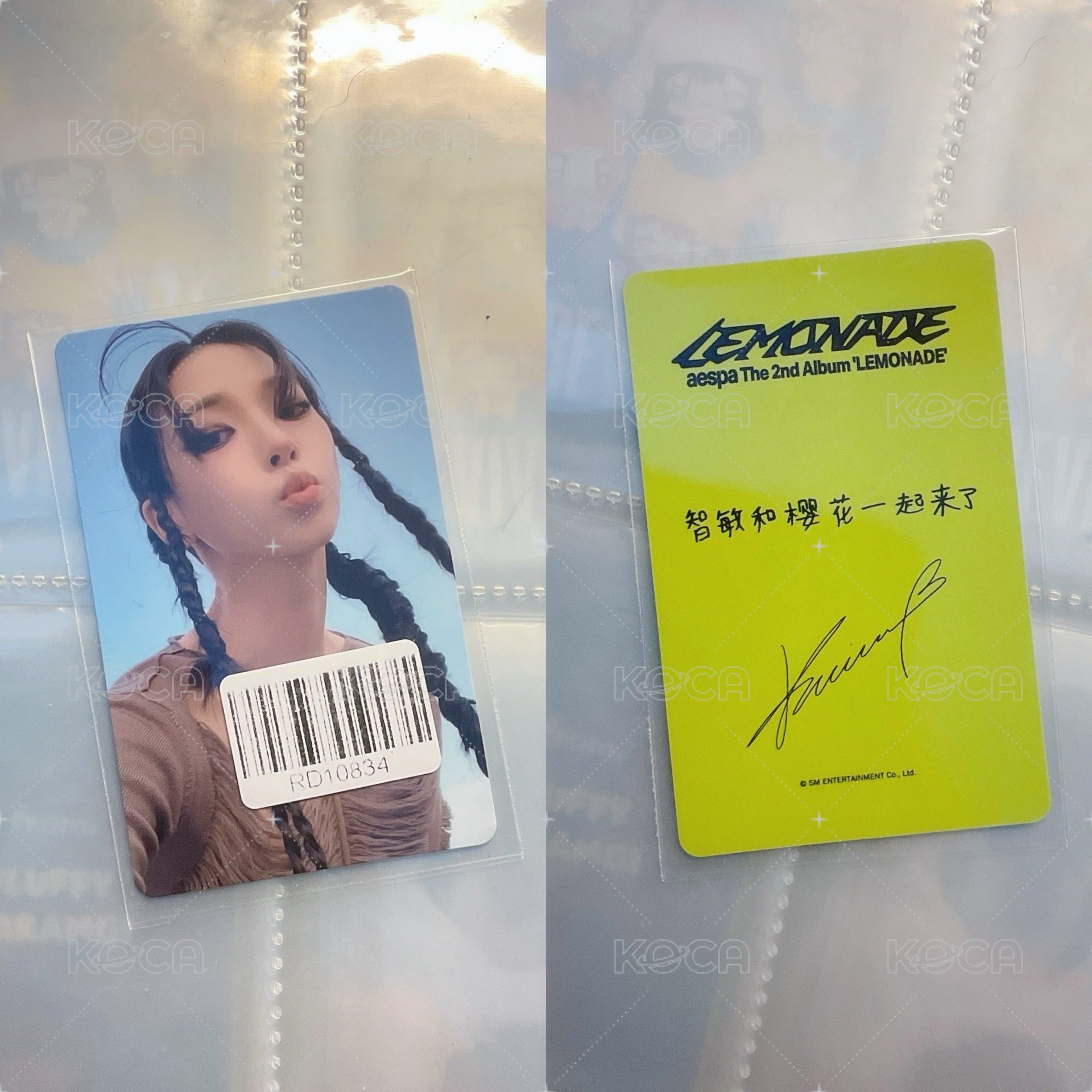 歐膩和櫻花一起來了