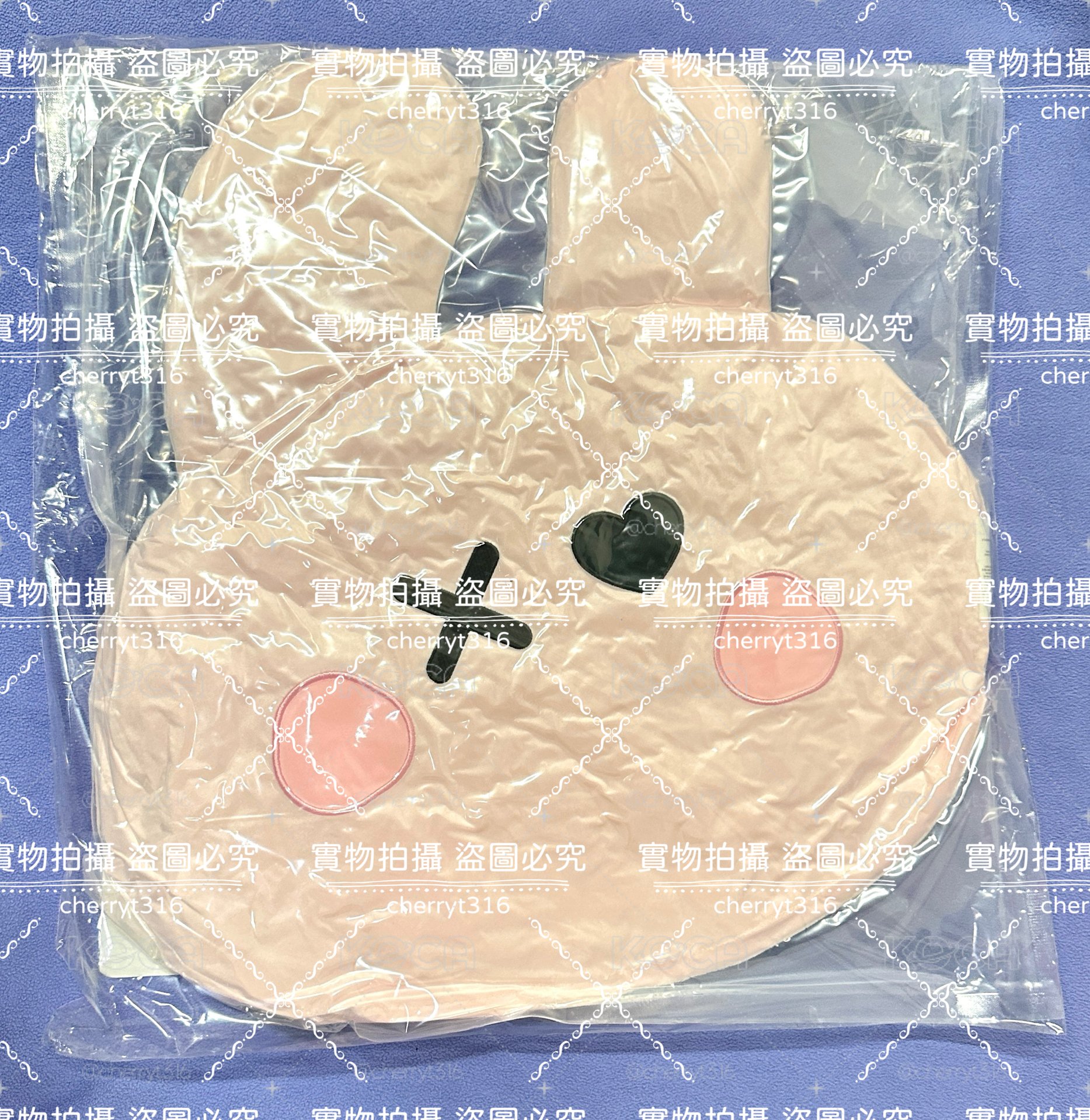 ［免二補］寶怪 世巡 ASA抱枕（已購買完成）