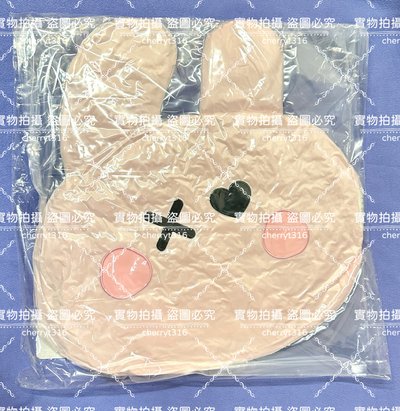 ［免二補］寶怪 世巡 ASA抱枕（已購買完成）