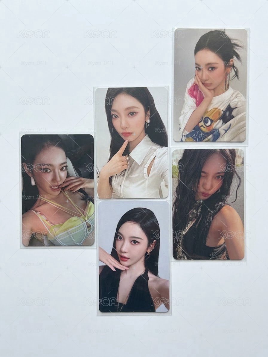 寧貓小盤🍋🦋
