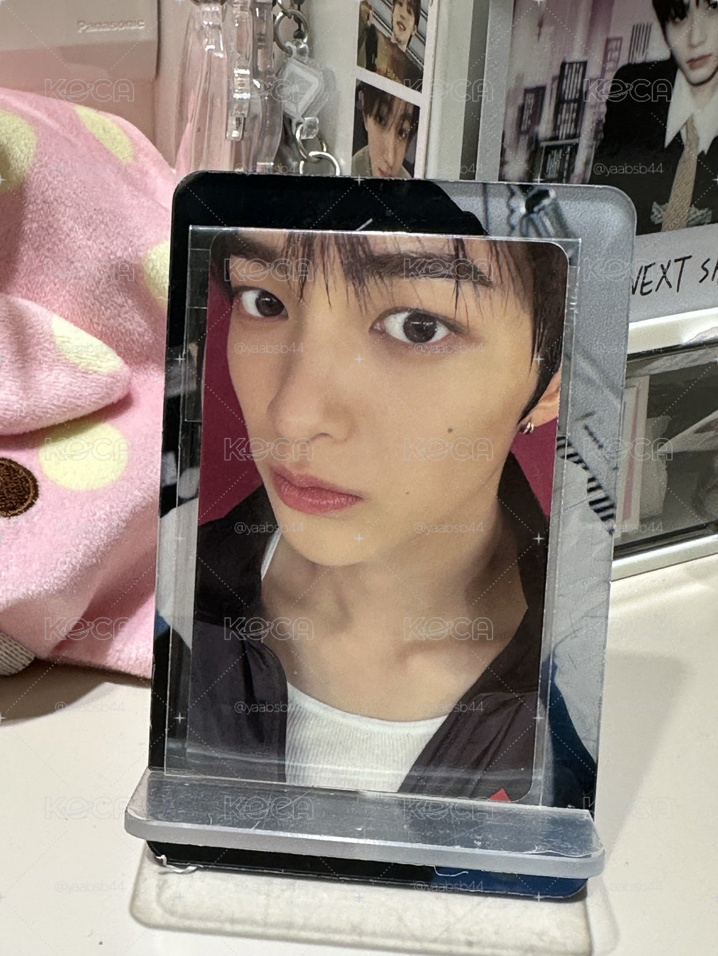 🐶安 mini2 hl簽售