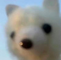 ゆゆ