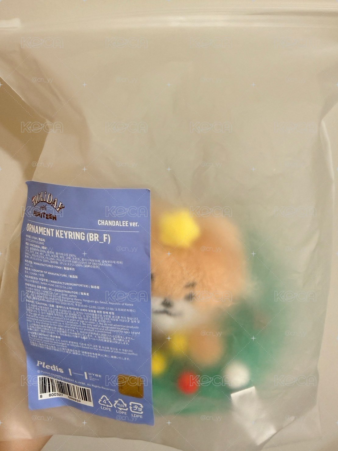 燦尼聖誕花圈🦦