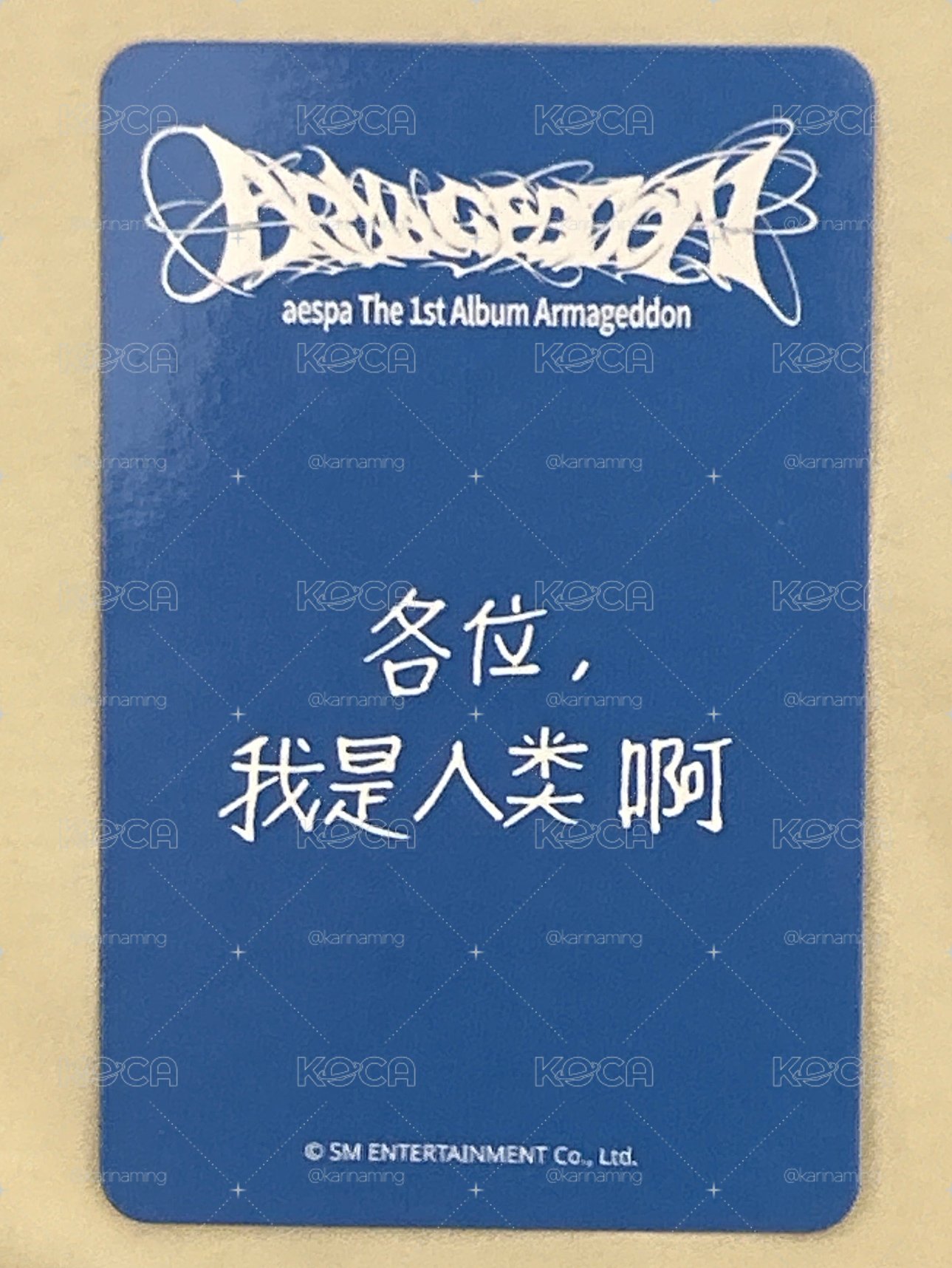 正規一 sr 簽售卡 星河簽售1.0冬 栗子冬