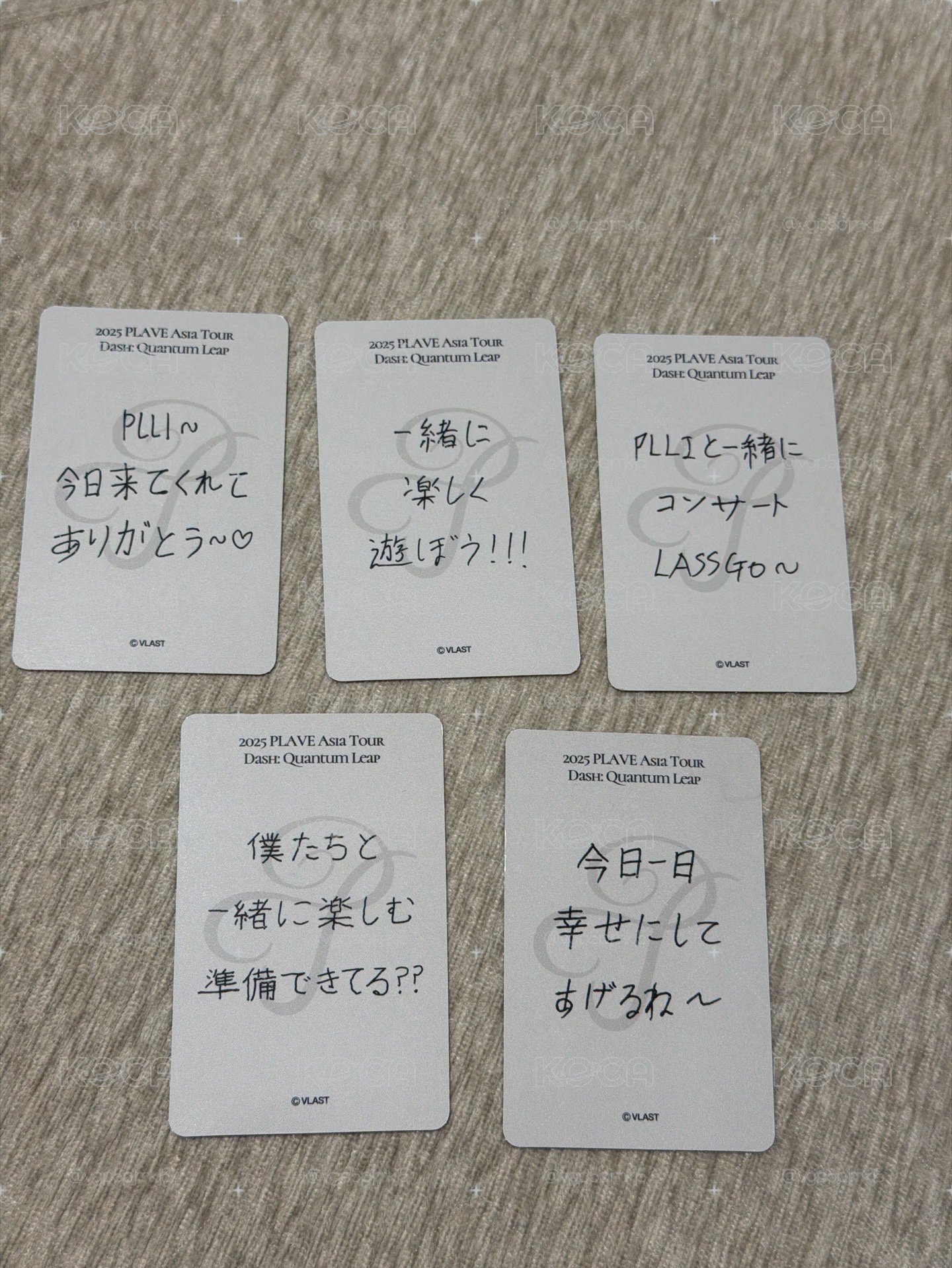 plave 日本入場卡
