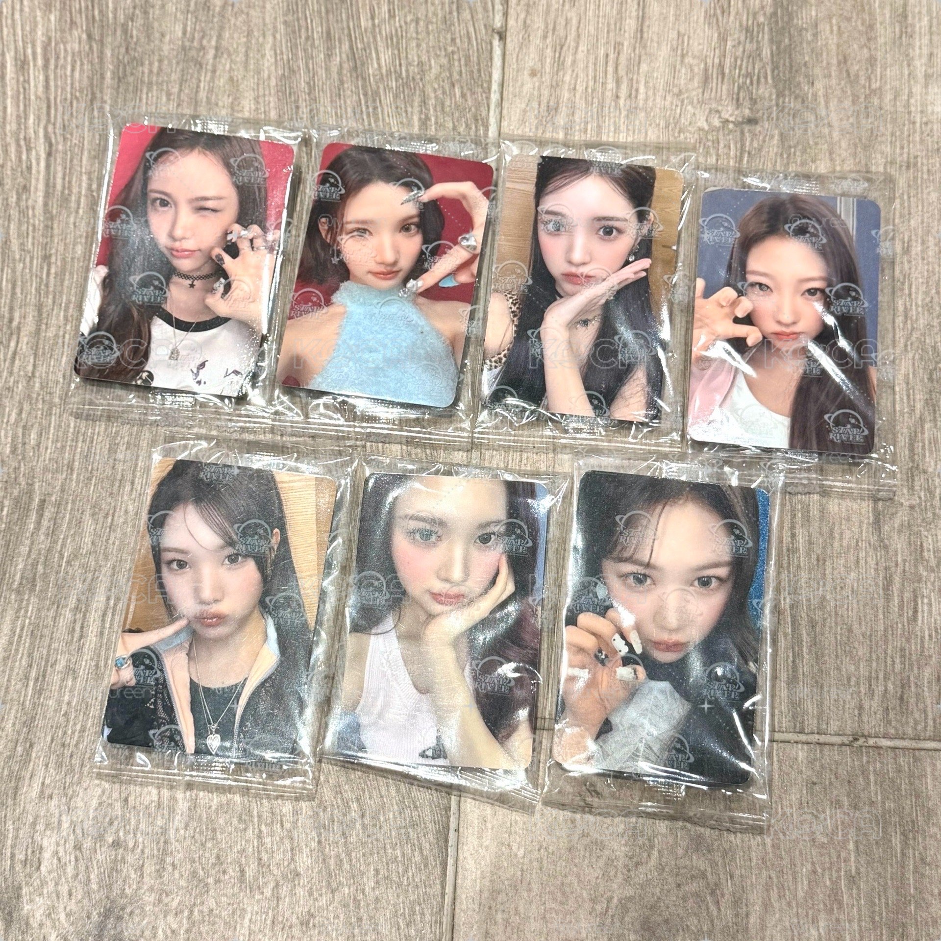 h2h Focus 簽售卡