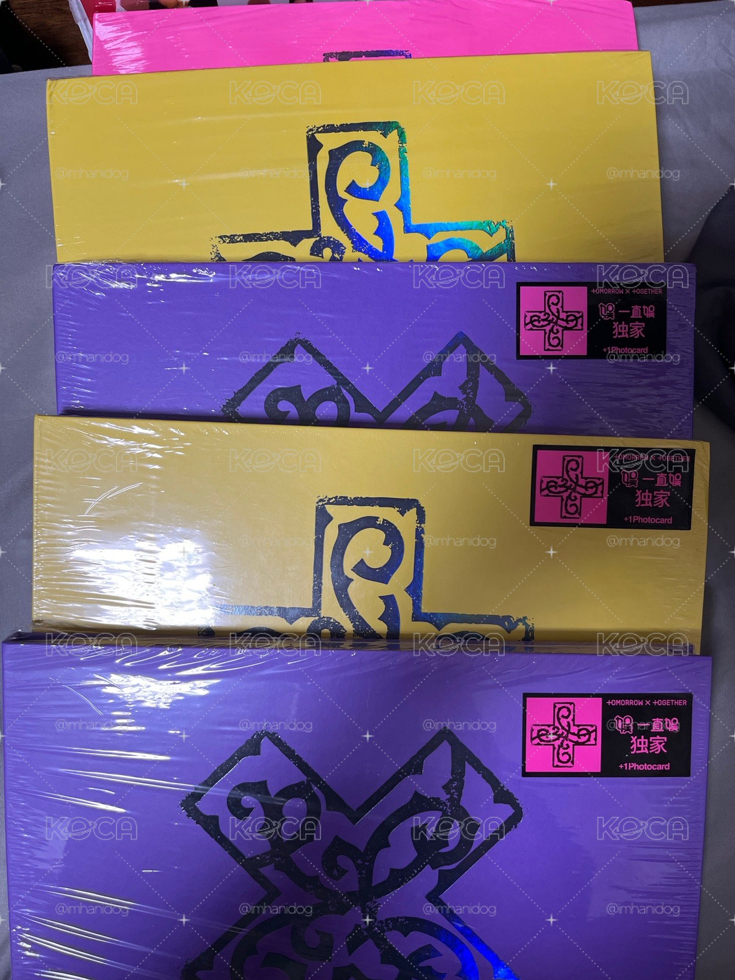 ⭐️迷八 一隻娛限定熊貓專