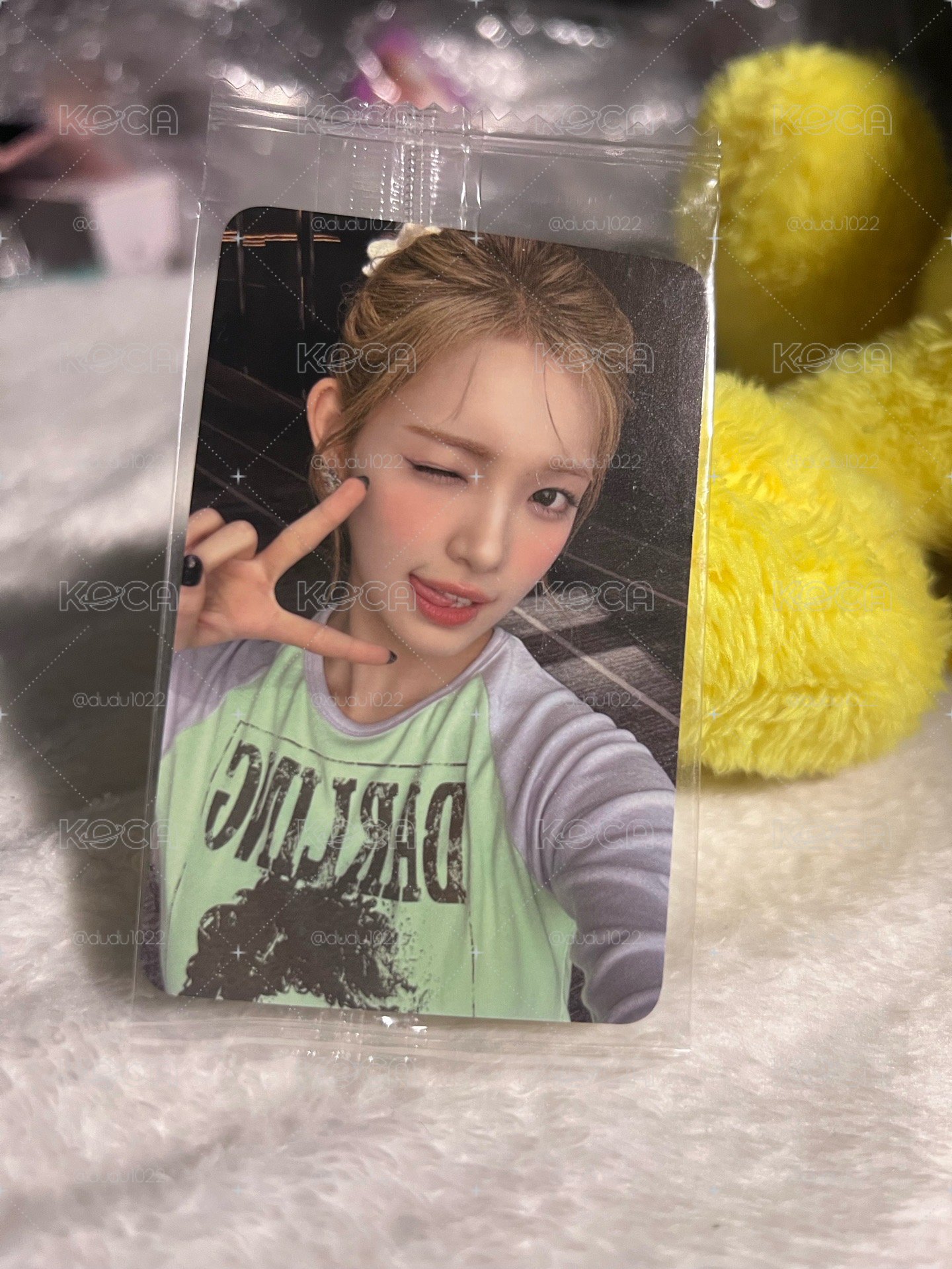 Focus k4 簽售卡 LA_Yuha