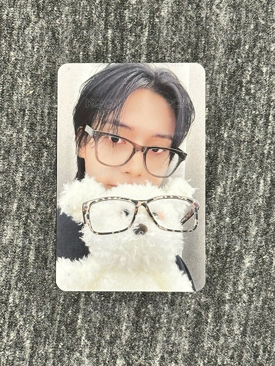 聰明小狗 榮 含專